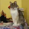 Отзыв от Лада Столярова